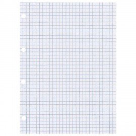 Сменный блок для тетради на кольцах БОЛЬШОЙ А4, 80 л., BRAUBERG, "Белый", 403262