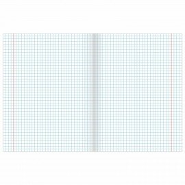 Тетрадь 24 л. BRAUBERG клетка, обложка картон, "КАМУФЛЯЖ", 403584