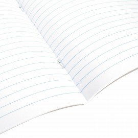 Тетрадь 24 л. BRAUBERG линия, обложка картон, "ЗАБАВНЫЕ ЩЕНКИ", 403585