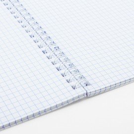 Тетрадь А5 48 л. АЛЬТ гребень, клетка, глянцевая ламинация, "АССОРТИ" (5 видов), 7-48-13, 7-48-136