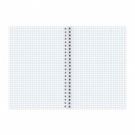 Тетрадь А5 48 л. АЛЬТ гребень, клетка, глянцевая ламинация, "АССОРТИ" (5 видов), 7-48-13, 7-48-136