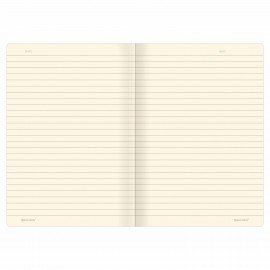 Тетради 40 л. в линию обложка SoftTouch, НАБОР 3 шт., бежевая бумага 70 г/м2, сшивка, А5 (147х210 мм), ПУТЕШЕСТВИЕ, BRAUBERG, 403799