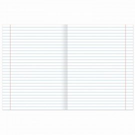 Тетради предметные, КОМПЛЕКТ 10 ПРЕДМЕТОВ, 48 л., обложка картон, BRAUBERG, "КЛАССИКА XXI", 404025