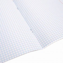 Тетради предметные, КОМПЛЕКТ 10 ПРЕДМЕТОВ, 48 л., обложка картон, BRAUBERG, "КЛАССИКА XXI", 404025