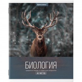 Тетради предметные, КОМПЛЕКТ 10 ПРЕДМЕТОВ, 48 л., обложка картон, BRAUBERG, "КЛАССИКА XXI", 404025