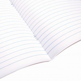 Тетради предметные, КОМПЛЕКТ 10 ПРЕДМЕТОВ, 48 л., обложка картон, BRAUBERG, "КЛАССИКА XXI", 404025