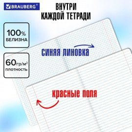 Тетради предметные со справочным материалом, КОМПЛЕКТ 10 ПРЕДМЕТОВ, 48 л., SoftTouch, фольга, BRAUBERG, "PASTEL", 404031