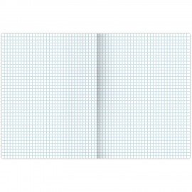 Тетрадь А4, 48 л., BRAUBERG, скоба, клетка, обложка картон, TRAVEL, 404039