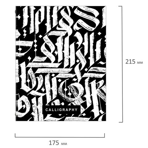 Тетрадь на кольцах А5 (175х215 мм), 240 листов, твердый картон, клетка, с разделителями, BRAUBERG, Calligraphy,404097