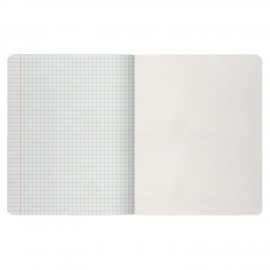 Тетрадь А5 48 л. АЛЬТ скоба, клетка, глянцевый лак, "Ночные города" (5 видов), 7-48-727