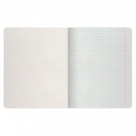 Тетрадь А5 48 л. АЛЬТ скоба, клетка, глянцевый лак, "Пейзажи" (5 видов), 7-48-637