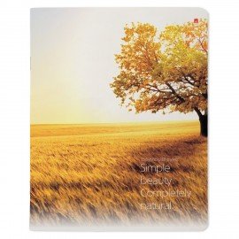 Тетрадь А5 48 л. АЛЬТ скоба, клетка, глянцевый лак, "Пейзажи" (5 видов), 7-48-637