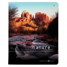 Тетрадь А5 48 л. АЛЬТ скоба, клетка, глянцевый лак, "Природа" (5 видов), 7-48-028