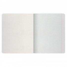 Тетрадь А5 48 л. АЛЬТ скоба, клетка, глянцевый лак, "Природа" (5 видов), 7-48-028