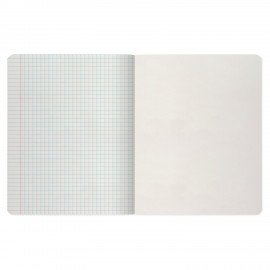 Тетрадь А5 48 л. АЛЬТ скоба, клетка, глянцевый лак, "Природа" (5 видов), 7-48-028