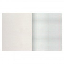 Тетрадь А5 48 л. АЛЬТ скоба, клетка, глянцевый лак, "Фрукты New" (5 видов), 7-48-544