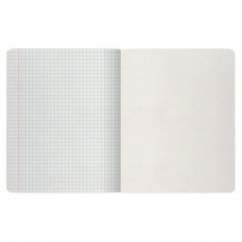 Тетрадь А5 48 л. АЛЬТ скоба, клетка, глянцевый лак, "Фрукты New" (5 видов), 7-48-544