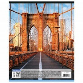 Тетрадь предметная "КЛАССИКА NEW" 48 л., обложка картон, ГЕОМЕТРИЯ, клетка, BRAUBERG, 404241