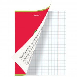 Тетрадь предметная "AVOCADO" 48 л., глянцевый лак, АНГЛИЙСКИЙ ЯЗЫК, клетка, BRAUBERG, 404275