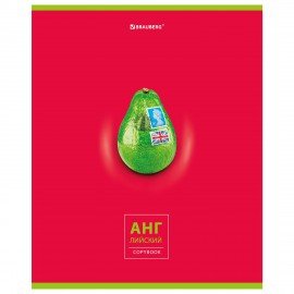 Тетрадь предметная "AVOCADO" 48 л., глянцевый лак, АНГЛИЙСКИЙ ЯЗЫК, клетка, BRAUBERG, 404275