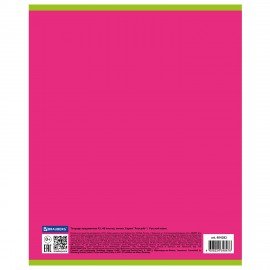 Тетрадь предметная "AVOCADO" 48 л., глянцевый лак, РУССКИЙ ЯЗЫК, линия, подсказ, BRAUBERG, 404282