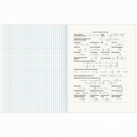 Тетрадь предметная "AVOCADO" 48 л., глянцевый лак, ФИЗИКА, клетка, BRAUBERG, 404283