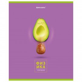 Тетрадь предметная "AVOCADO" 48 л., глянцевый лак, ФИЗИКА, клетка, BRAUBERG, 404283