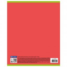 Тетрадь предметная "AVOCADO" 48 л., глянцевый лак, ХИМИЯ, клетка, BRAUBERG, 404284