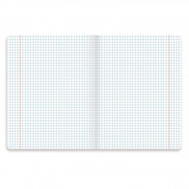 Тетрадь предметная "PASTEL" 48 л., SoftTouch, фольга, ИСТОРИЯ, клетка, BRAUBERG, 404316