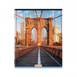 Тетради предметные, КОМПЛЕКТ 12 ПРЕДМЕТОВ, 48 л., обложка картон, BRAUBERG, "КЛАССИКА NEW", 404322