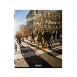 Тетради предметные, КОМПЛЕКТ 12 ПРЕДМЕТОВ, 48 л., обложка картон, BRAUBERG, "КЛАССИКА NEW", 404322