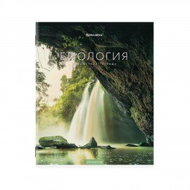 Тетради предметные, КОМПЛЕКТ 12 ПРЕДМЕТОВ, 48 л., обложка картон, BRAUBERG, "КЛАССИКА NEW", 404322