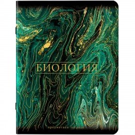 Тетради предметные, КОМПЛЕКТ 12 ПРЕДМЕТОВ, 48 л., SoftTouch, фольга, BRAUBERG, "MARBLE", 404326