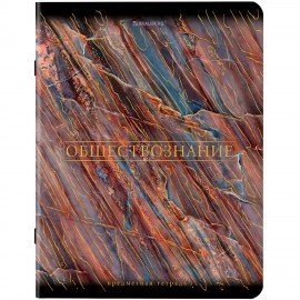 Тетради предметные, КОМПЛЕКТ 12 ПРЕДМЕТОВ, 48 л., SoftTouch, фольга, BRAUBERG, "MARBLE", 404326