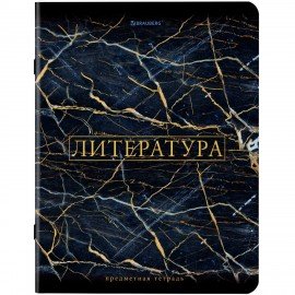 Тетради предметные, КОМПЛЕКТ 12 ПРЕДМЕТОВ, 48 л., SoftTouch, фольга, BRAUBERG, "MARBLE", 404326