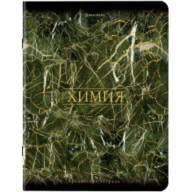 Тетради предметные, КОМПЛЕКТ 12 ПРЕДМЕТОВ, 48 л., SoftTouch, фольга, BRAUBERG, "MARBLE", 404326
