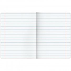 Тетради предметные, КОМПЛЕКТ 12 ПРЕДМЕТОВ, 48 л., SoftTouch, фольга, BRAUBERG, "MARBLE", 404326