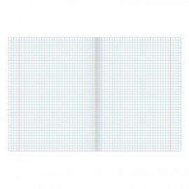 Тетрадь А5 48 л. BRAUBERG скоба, клетка, обложка картон, "Россия" (микс в спайке), 404362