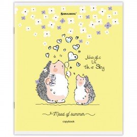 Тетрадь А5 48 л. BRAUBERG скоба, клетка, обложка картон, "Приключения Ёжика" (микс в спайке), 404366