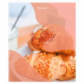 Тетрадь А5, 48 л., BRAUBERG, скоба, клетка, матовая ламинация, выборочный лак, "Sweets" (микс в спайке), 404373