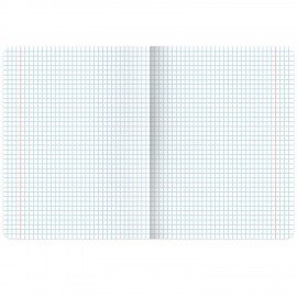 Тетрадь А5, 48 л., BRAUBERG, скоба, клетка, матовая ламинация, выборочный лак, "Гранаты" (микс в спайке), 404376