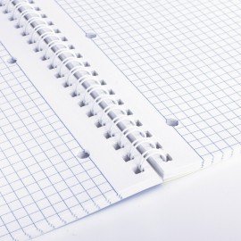 Тетради КОМПЛЕКТ 2 шт., А4, 96 л., BRAUBERG гребень, клетка, глянцевый лак, "Гранаты", 404389