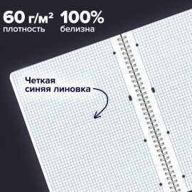 Тетради КОМПЛЕКТ 2 шт., А4, 96 л., BRAUBERG гребень, клетка, глянцевый лак, "Гранаты", 404389