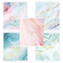Тетради КОМПЛЕКТ 5 шт. А5, 48 л. BRAUBERG, скоба, клетка, SoftTouch, фольга, "Pastel Marble", 404398