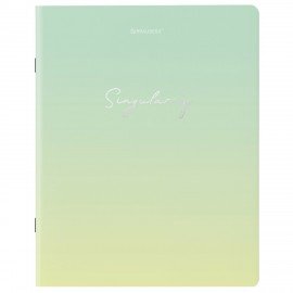 Тетради КОМПЛЕКТ 5 шт. А5, 48 л. BRAUBERG, скоба, клетка, SoftTouch, фольга, "Inspiration", 404399