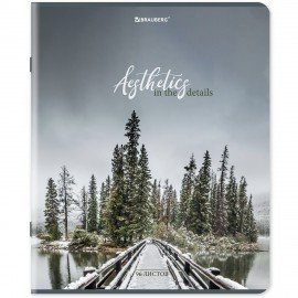 Тетрадь А5, 96 л., BRAUBERG, скоба, клетка, глянцевая ламинация, "Nature", 404427