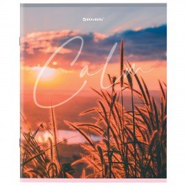 Тетрадь А5 96 л. BRAUBERG скоба, клетка, обложка картон, "Calm" (микс в спайке), 404435