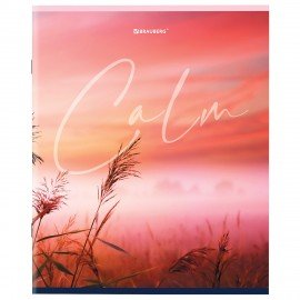 Тетрадь А5 96 л. BRAUBERG скоба, клетка, обложка картон, "Calm" (микс в спайке), 404435