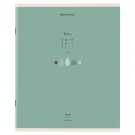 Тетрадь А5 96 л. BRAUBERG скоба, линия, обложка картон, "Natural" (микс в спайке), 404440