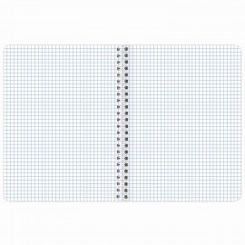 Тетрадь А5 120 л. BRAUBERG, гребень, клетка, глянцевая ламинация, "Растения" (микс в спайке), 404448